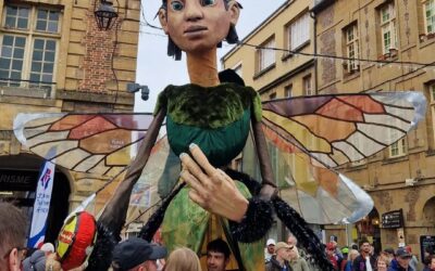 Protégé : Domie et les insectes